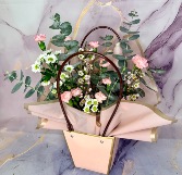 Designers choice Best seller  Best seller