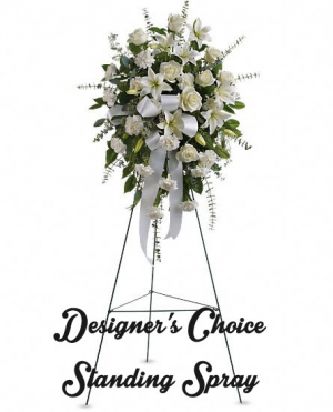 DESIGNER'S CHOICE 