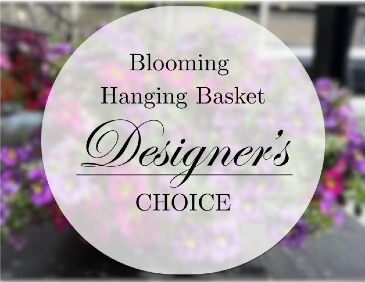 Designer's Choice - Blooming Hanging Basket in Jefferson City, MO | RIVER CITY FLORIST & GIFTS Designer's Choice - Blooming Hanging Basket in Jefferson City, MO | RIVER CITY FLORIST & GIFTS