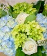 Designers choice-Blues and Greens  Design by color palette