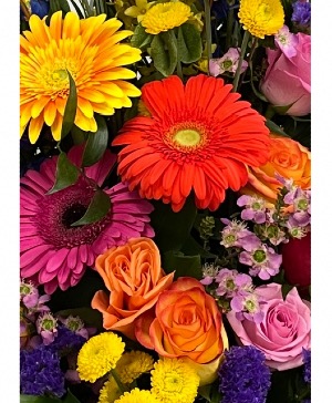 Designers Choice Colorful Bouquet  No Vase 