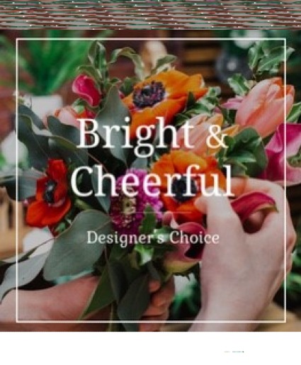 Designer's Choice-Bright 