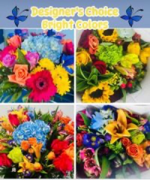 DESIGNER’S CHOICE Bright Arrangement! 