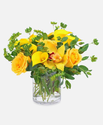 Designers Choice - Bright & Colorful Vased/Container