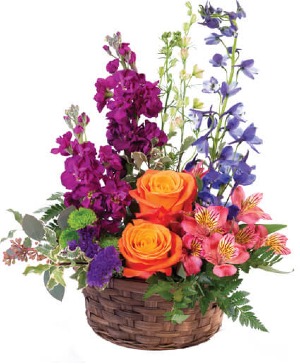 Designer's Choice - Bursting with Bright & Bold Basket Arrangement