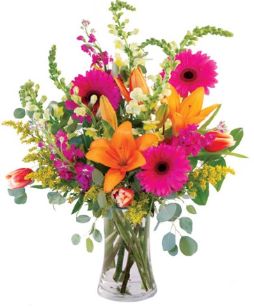 Designer's Choice - Bursting with Bright & Bold Large Size Arrangement in a Vase in Beloit, KS | Given Grace Floral & Decor