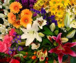 Designer's choice Casket Spray in Palmyra, VA | Country Rose Florist Designer's choice Casket Spray in Palmyra, VA | Country Rose Florist