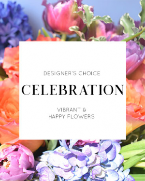 Designer's Choice | Celebration 