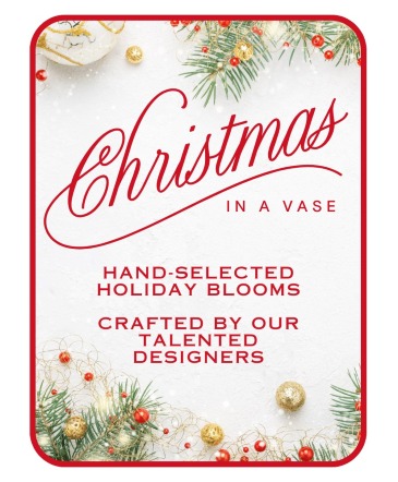Designer's Choice Christmas in a Vase Flower Arrangement in Belmond, IA | BLACK DAHLIA FLOWERS & GIFTS
