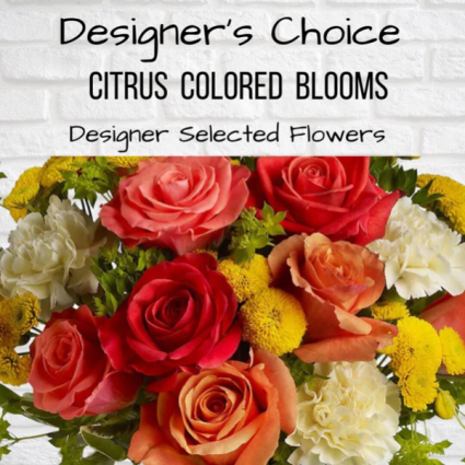 Designer’s Choice-Citrus