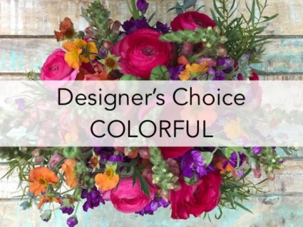 Designer's Choice Colorful