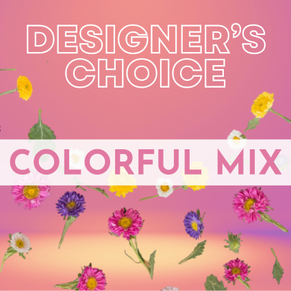 Designer's Choice Colorful 