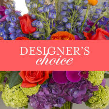Designer's Choice Deal of the day