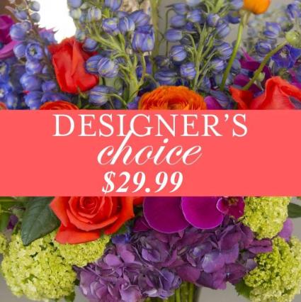 Designer's Choice Deal Of The Day