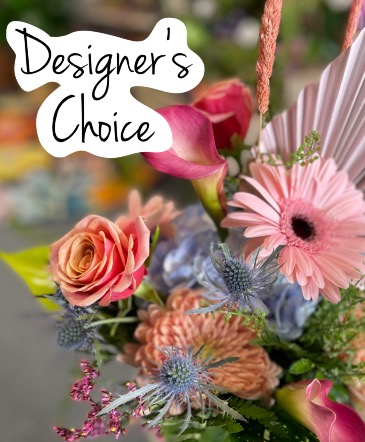 Designer’s Choice Premium  in Elizabeth City, NC | Albemarle Floral 