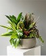 Purchase this funeral home arrangement
