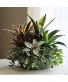 Purchase this funeral home arrangement