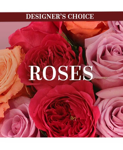 Designer's choice dozen roses 