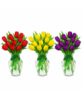 Designers Choice Dozen Tulips 