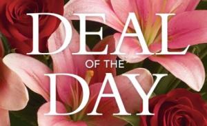 Designer's Choice E-1 in Fort Lauderdale, FL | ENCHANTMENT FLORIST Designer's Choice E-1 in Fort Lauderdale, FL | ENCHANTMENT FLORIST