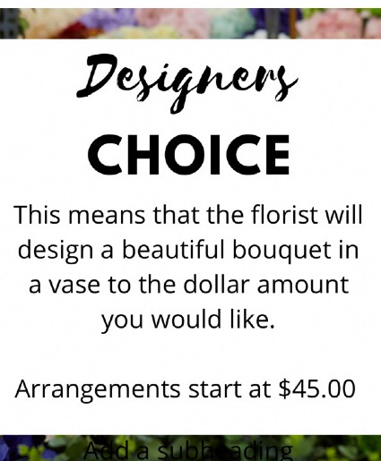 Designer’s Choice Everyday Special