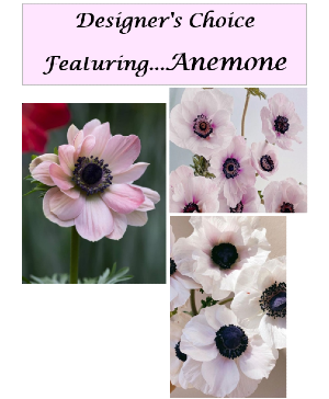 Designer's Choice featuring Anemone Vase Arrangement