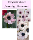 Designer's Choice featuring Anemone Vase Arrangement
