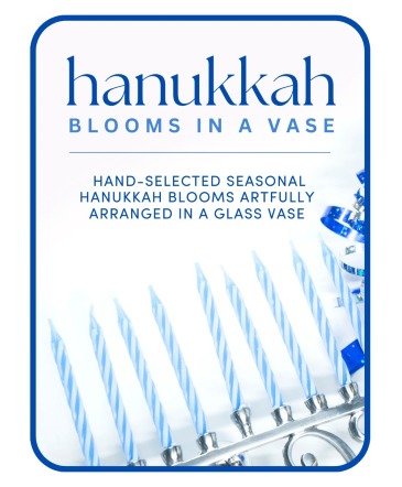 Designer's Choice Hanukkah Arrangement Flower Arrangement in Nevada, IA | Flower Bed