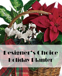 Designer's Choice Holiday Planter  