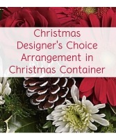Designers choice in Christmas container  Container 