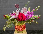 Designers Choice: Light of my Life 