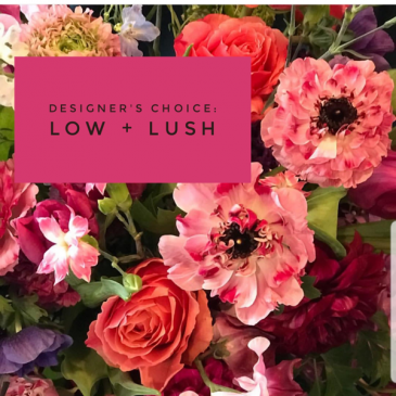 Designers Choice Low + Lush  Unique Vase Arrangement  in Coralville, IA | Every Bloomin' Thing