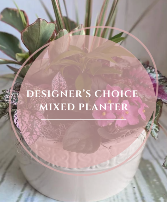 Designer's Choice Mixed Planter 