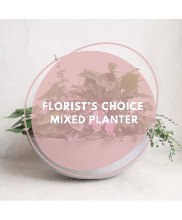 Florist's Choice Mixed Planter  in Surrey, BC | Hunters Garden Centre And Flower Shop