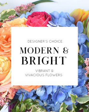 Designer's Choice | Modern + Bright 