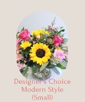 Designer's Choice Modern Style (Small) *READ DESCRIPTION*