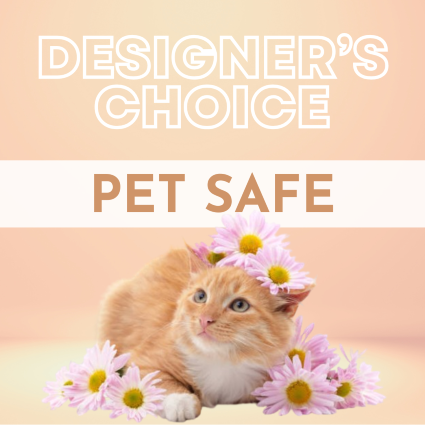 Designer's Choice Pet Safe 