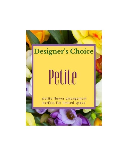 Designer's Choice - Petite Arrangement Arrangement