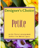 Designer's Choice - Petite Arrangement Arrangement