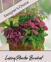 Designer's Choice Planter Basket
