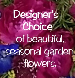 Designer's Choice Premium in Melbourne, FL | VIOLETS IN BLOOM Designer's Choice Premium in Melbourne, FL | VIOLETS IN BLOOM