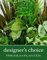 Designer's Choice Premium Planter Flower Arrangement
