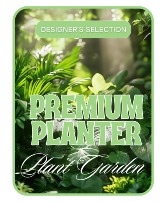 Designer's Choice Premium Planter Plant