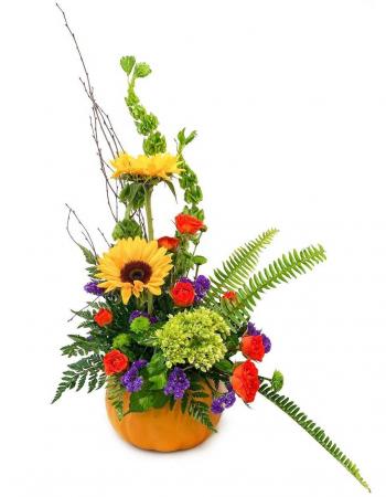 PUMPKIN KEEPSAKE ARRANGEMENT MEDIUM CUSTOM ARRANGEMENT