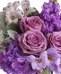 Designers Choice- purple and white  Design by color palette 