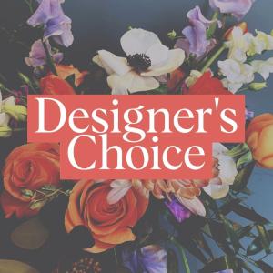 Designer's Choice READ DESCRIPTION