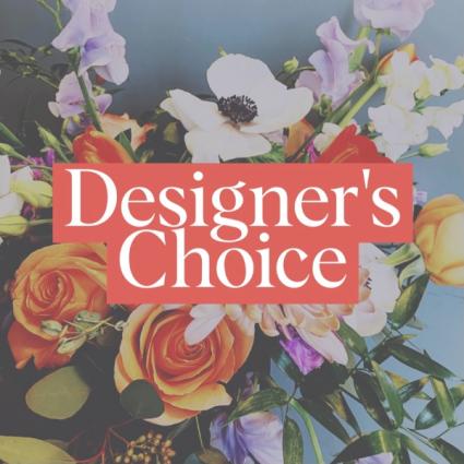Designer's Choice *READ DESCRIPTION*