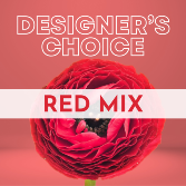 Designer's Choice Reds 