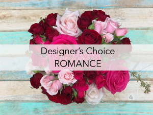 Designer's Choice Romance 