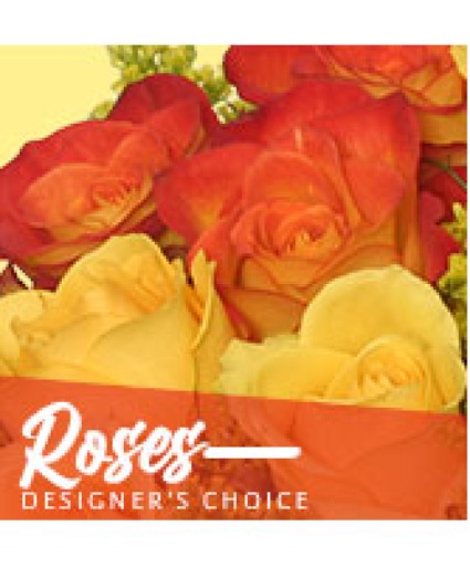 Designer's Choice Roses - 00336 